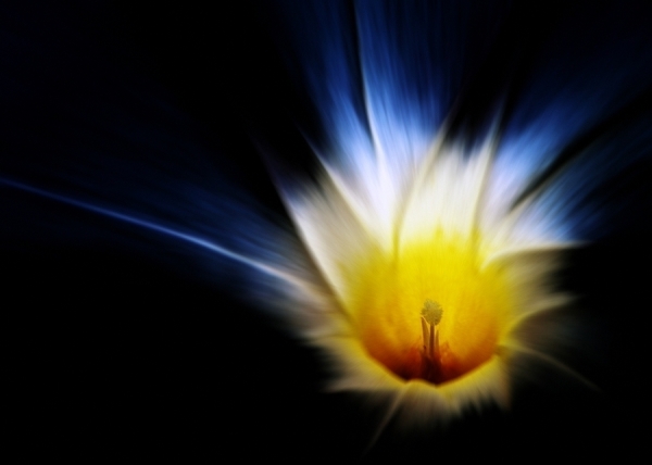 Photograph Michel Bochet Merand Flame on One Eyeland